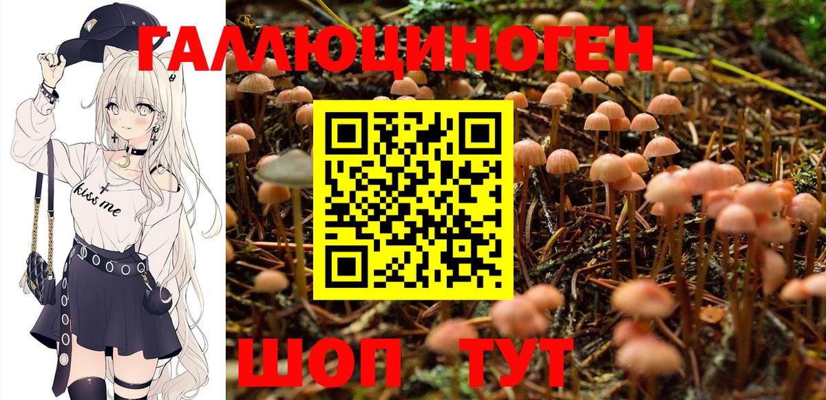 Псилоцибиновые грибы Magic Shrooms Новотроицк