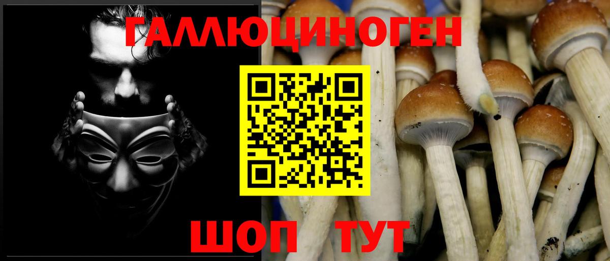 Псилоцибиновые грибы Cubensis  Вход с VPN  Новотроицк 